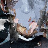 CW 005 - 3ZOO