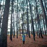 DINO Beats&BeautifulMusic FALL 2015