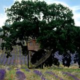 Music Mix for Home