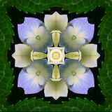 World Of Illusions Podcast - Free Your Mind - June 2012