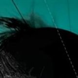 VERSUS ELECTRONICS - prog. 15 - 26/02/2010