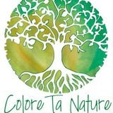 Julie Harzé - Colore ta nature - le pouvoir émotionnel de la musique