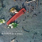 A Duck in a Tree 2014-10-11 | Comb Filter, Red Spectrum
