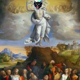 CatLab 2012
