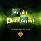 Brain Damaged