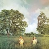 Lost in the Meadow Mix