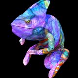 Chameleon - "Life" promo mix June 2014