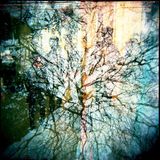 Klimek - Punishment And Reward