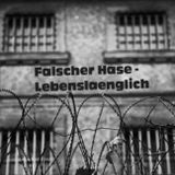 Falscher Hase - Lebenslänglich (Promo Mix) - 12.2011
