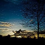 Sounds for the Spring Nights