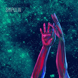Shipulin - We touch the stars