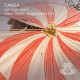 Camea - Robot Heart Burning Man 2015