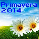 Primavera cantaditas 2014