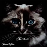 Nattkatt