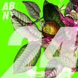 All Back No Front #24