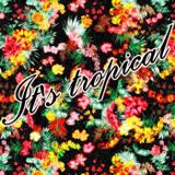 It's tropical vol. 1