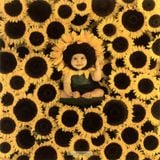 Sunflowers 1