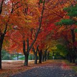 2010 Oct-Nov