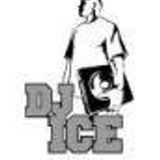 DJ ICE MOVE YOUR BODY VOL 55
