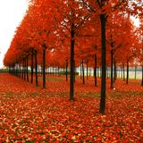 Minimal Autumn Mix by Pavel Pachouli