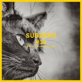 SUBZERO#38 1st hour - Pinky Murakami