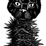 Old school doped kitty ( late set )