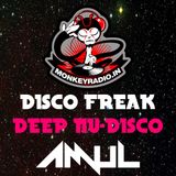 12-05-2014__Disco Freak feat AmuL {Deep Nu Disco}