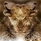 hofer66 - howling - ibiza global radio makes sense - 121001