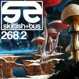 Sonic Electronic 268 Part 2