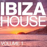 Ibiza House Mix Vol 1