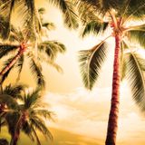 Double Wave - SUNANDBASS 2013