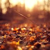 Dj PolarNite - Indie & Nu Disco Mix 07.10.2014