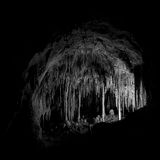 The Soggy Bog 194 Doomed Cavern of Death