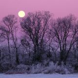 moonlight sonata 005