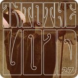 Into The Void Volume 27