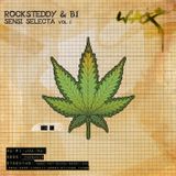 Rocksteddy & B1 present - Sensi Selecta Vol.1