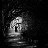 Bretter-Dark descent control