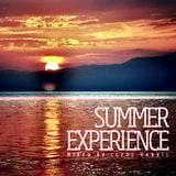 Summer House Experience (June House PROMO) 96kbps