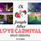 ČX After Love Carnival Rave @ Jungla