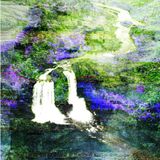 Sharp Veins - 26th January 2016