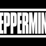 Julio Bashmore ft. Jessie Ware - Peppermint (musiceater remix)