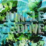 DJ PHAROAH " jungle groove "
