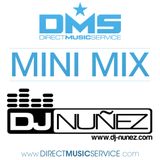 DMS MINI MIX WEEK #175 DJ NUÑEZ