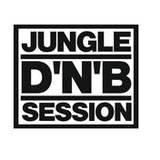 SPECIAL JUNGLE MINIMIX ( DJ NEBER )