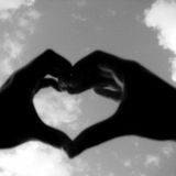 Love Is Wild And Perfect