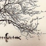 Kidcaramba - Peking Duck (relighted lantern mix)
