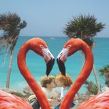 Brezze present Music for lovers