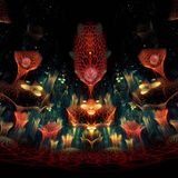 Quantum-D Podcast # 001-Shamanic Dance