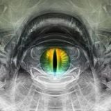 Wake n Bake Volume 3 --- PLASTIC VISION