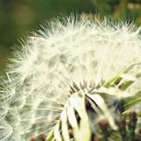 Lazy Sunny Summer Beats - mixed by A.Tronic & MarWie